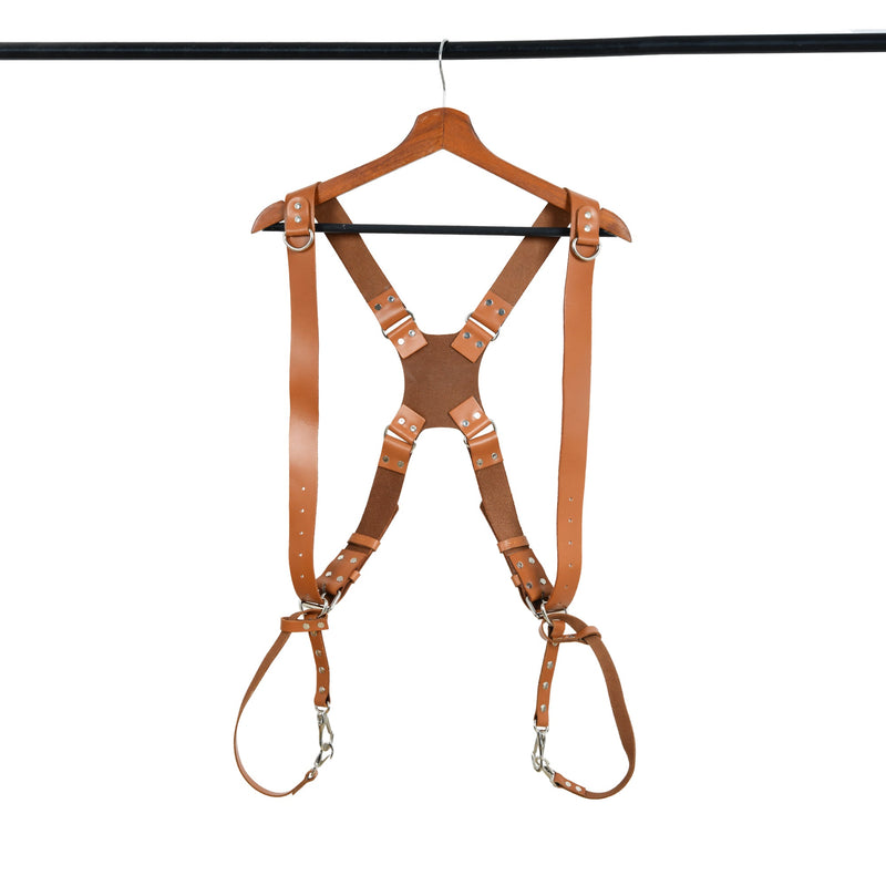 Harness